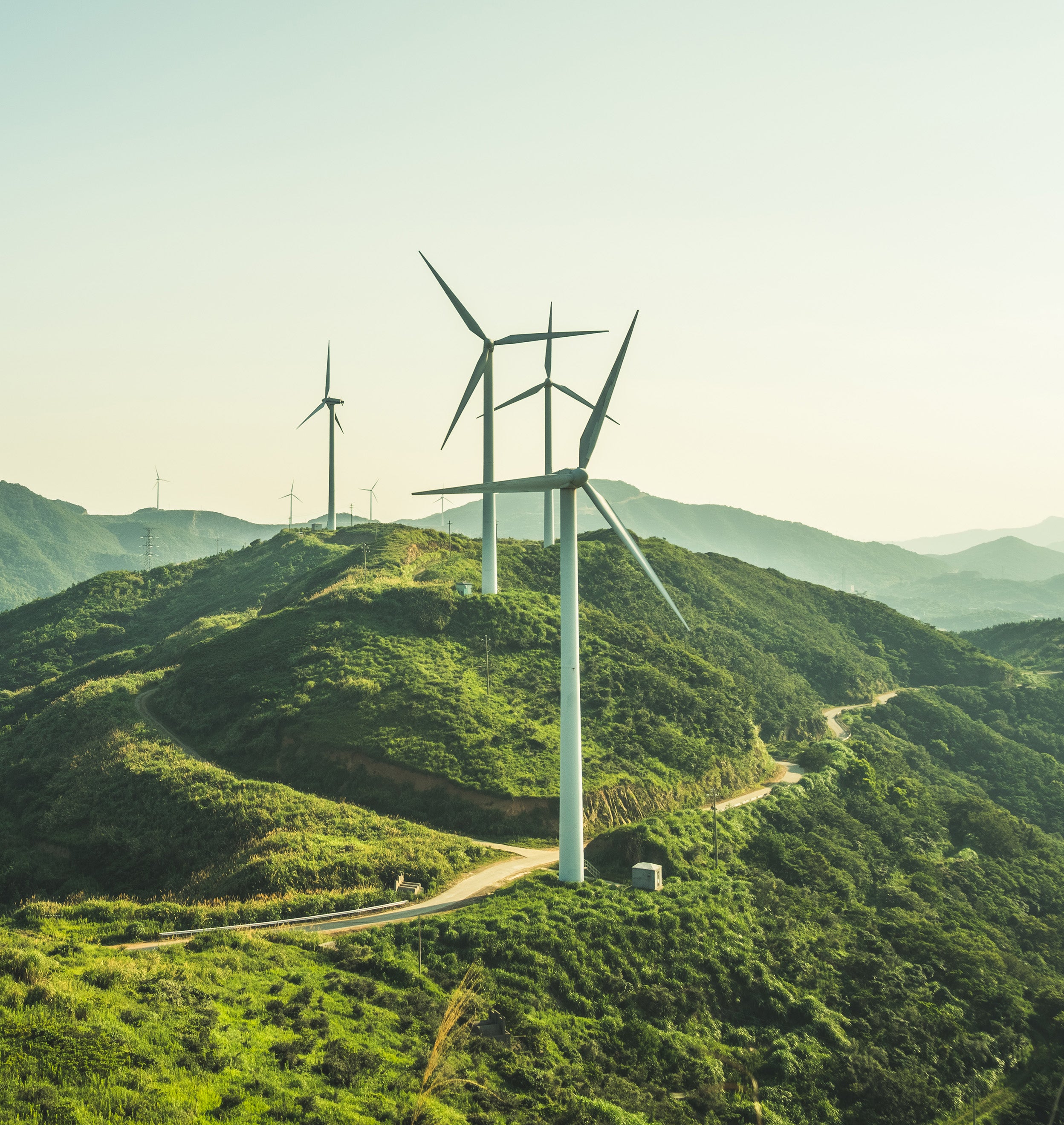 windmills